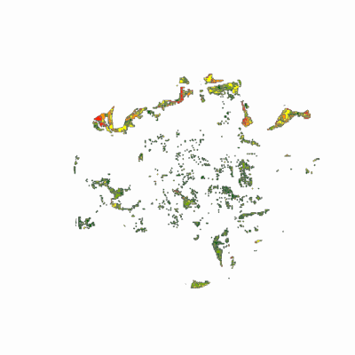 Export Image